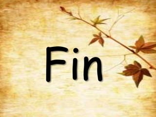 Fin

 