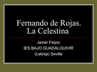 1
Fernando de Rojas.
La Celestina
Javier Feijoo
IES BAJO GUADALQUIVIR
(Lebrija) Sevilla
 