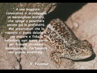 “  A una maggiore conoscenza si accompagna un meraviglioso mistero, che spinge a penetrare ancora più in profondità. Mai preoccupati che la risposta ci possa deludere, con piacere e fiducia solleviamo ogni nuova pietra per trovare stranezze inimmaginabili. Certamente una grande avventura… R. Feynman 