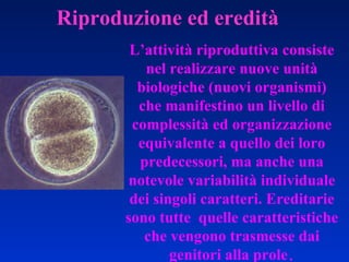 L’attività riproduttiva consiste nel realizzare nuove unità biologiche (nuovi organismi) che manifestino un livello di complessità ed organizzazione equivalente a quello dei loro predecessori, ma anche una notevole variabilità individuale dei singoli caratteri. Ereditarie sono tutte  quelle caratteristiche che vengono trasmesse dai genitori alla prole . 