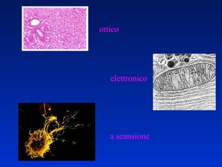 elettronico ottico a scansione 