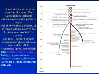… .Contestualmente un ricco mercante di bottoni: Van Leeuwenhoek individua «animanucoli» in una goccia di acqua. Nel 1838 Matthias Schleden, un avvocato tedesco, asseriva che le piante sono costituite da cellule Nel 1839 Theodor Schwann sosteneva che gli animali sono costituiti da cellule Avanzarono i primi due principi della  TEORIA CELLULARE:  Tutti gli organismi sono  composti da una o più cellule La cellula è l’unità strutturale della vita 