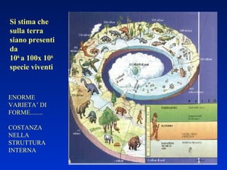 Si stima che sulla terra siano presenti da 10 6  a 100x 10 6  specie viventi ENORME VARIETA’ DI FORME........ COSTANZA NELLA STRUTTURA INTERNA 