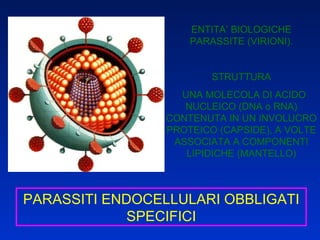 ENTITA’ BIOLOGICHE PARASSITE (VIRIONI). STRUTTURA UNA MOLECOLA DI ACIDO NUCLEICO (DNA o RNA) CONTENUTA IN UN INVOLUCRO PROTEICO (CAPSIDE), A VOLTE ASSOCIATA A COMPONENTI LIPIDICHE (MANTELLO) PARASSITI ENDOCELLULARI OBBLIGATI SPECIFICI 