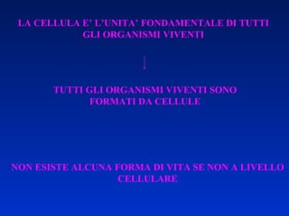 LA CELLULA E’ L’UNITA’ FONDAMENTALE DI TUTTI GLI ORGANISMI VIVENTI TUTTI GLI ORGANISMI VIVENTI SONO FORMATI DA CELLULE NON ESISTE ALCUNA FORMA DI VITA SE NON A LIVELLO CELLULARE 