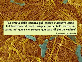 “ La storia della scienza può essere riassunta come l’elaborazione di occhi sempre più perfetti entro un cosmo nel quale c’è sempre qualcosa di più da vedere” P.Teihard De Chardin 