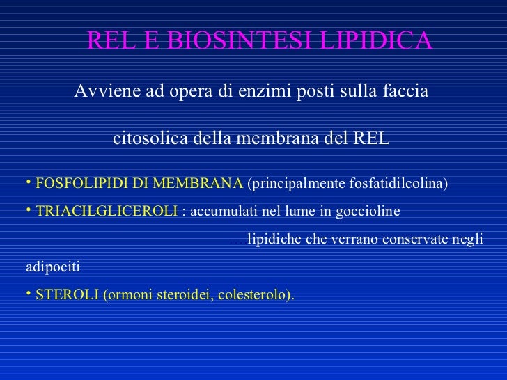 Crema purificante per il mazzo di fiore di persona maylily crema purificante