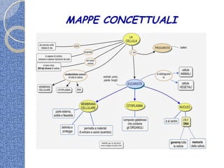 MAPPME CONCETTUALII
MAPPE CONCETTUALI
 