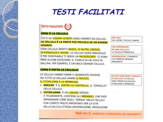 TESTI FACILITATI
 