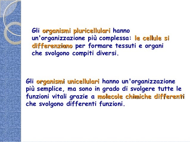 Differenza Tra Italiano E Italiano 5.1