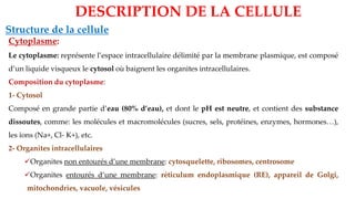 Structure de la cellule
DESCRIPTION DE LA CELLULE
Cytoplasme:
Le cytoplasme: représente l’espace intracellulaire délimité par la membrane plasmique, est composé
d’un liquide visqueux le cytosol où baignent les organites intracellulaires.
Composition du cytoplasme:
1- Cytosol
Composé en grande partie d’eau (80% d’eau), et dont le pH est neutre, et contient des substance
dissoutes, comme: les molécules et macromolécules (sucres, sels, protéines, enzymes, hormones…),
les ions (Na+, Cl- K+), etc.
2- Organites intracellulaires
✓Organites non entourés d’une membrane: cytosquelette, ribosomes, centrosome
✓Organites entourés d’une membrane: réticulum endoplasmique (RE), appareil de Golgi,
mitochondries, vacuole, vésicules
 