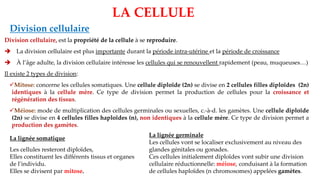 LA CELLULE
Division cellulaire
Division cellulaire, est la propriété de la cellule à se reproduire.
➔ La division cellulaire est plus importante durant la période intra-utérine et la période de croissance
➔ À l’âge adulte, la division cellulaire intéresse les cellules qui se renouvellent rapidement (peau, muqueuses…)
Il existe 2 types de division:
✓Mitose: concerne les cellules somatiques. Une cellule diploïde (2n) se divise en 2 cellules filles diploïdes (2n)
identiques à la cellule mère. Ce type de division permet la production de cellules pour la croissance et
régénération des tissus.
✓Méiose: mode de multiplication des cellules germinales ou sexuelles, c.-à-d. les gamètes. Une cellule diploïde
(2n) se divise en 4 cellules filles haploïdes (n), non identiques à la cellule mère. Ce type de division permet a
production des gamètes.
La lignée somatique
Les cellules resteront diploïdes,
Elles constituent les différents tissus et organes
de l’individu.
Elles se divisent par mitose.
La lignée germinale
Les cellules vont se localiser exclusivement au niveau des
glandes génitales ou gonades.
Ces cellules initialement diploïdes vont subir une division
cellulaire réductionnelle: méiose, conduisant à la formation
de cellules haploïdes (n chromosomes) appelées gamètes.
 