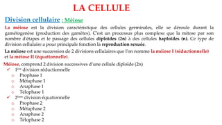 Méiose, comprend 2 division successives d’une cellule diploïde (2n)
✓ 1ère division réductionnelle
o Prophase 1
o Métaphase 1
o Anaphase 1
o Télophase 1
✓ 2ème division équationnelle
o Prophase 2
o Métaphase 2
o Anaphase 2
o Télophase 2
LA CELLULE
Division cellulaire : Méiose
La méiose est la division caractéristique des cellules germinales, elle se déroule durant la
gamétogenèse (production des gamètes). C’est un processus plus complexe que la mitose par son
nombre d’étapes et le passage des cellules diploïdes (2n) à des cellules haploïdes (n). Ce type de
division cellulaire a pour principale fonction la reproduction sexuée.
La méiose est une succession de 2 divisions cellulaires que l’on nomme la méiose I (réductionnelle)
et la méiose II (équationnelle).
 