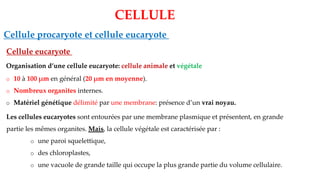CELLULE
Cellule eucaryote
o 10 à 100 µm en général (20 µm en moyenne).
o Nombreux organites internes.
o Matériel génétique délimité par une membrane: présence d’un vrai noyau.
Organisation d’une cellule eucaryote: cellule animale et végétale
Les cellules eucaryotes sont entourées par une membrane plasmique et présentent, en grande
partie les mêmes organites. Mais, la cellule végétale est caractérisée par :
o une paroi squelettique,
o des chloroplastes,
o une vacuole de grande taille qui occupe la plus grande partie du volume cellulaire.
Cellule procaryote et cellule eucaryote
 