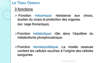  Fonction mécanique: résistance aux chocs,
soutien du corps et protection des organes
(ex: cage thoracique).
Fonction métabolique: rôle dans l’équilibre du
métabolisme phosphocalcique.
Fonction hématopoïétique: La moelle osseuse
contient les cellules souches à l’origine des cellules
sanguines
Le Tissu Osseux
3 fonctions
Franck Rencurel 2020
 