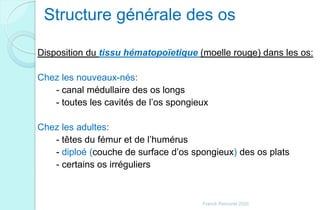 Structure générale des os
Disposition du tissu hématopoïetique (moelle rouge) dans les os:
Chez les nouveaux-nés:
- canal médullaire des os longs
- toutes les cavités de l’os spongieux
Chez les adultes:
- têtes du fémur et de l’humérus
- diploé (couche de surface d’os spongieux) des os plats
- certains os irréguliers
Franck Rencurel 2020
 