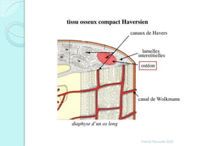 Franck Rencurel 2020
 