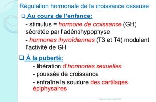 Régulation hormonale de la croissance osseuse
 Au cours de l’enfance:
- stimulus = hormone de croissance (GH)
sécrétée par l’adénohypophyse
- hormones thyroïdiennes (T3 et T4) modulent
l’activité de GH
 À la puberté:
- libération d’hormones sexuelles
- poussée de croissance
- entraîne la soudure des cartilages
épiphysaires
Franck Rencurel 2020
 