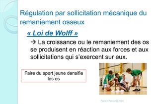 Régulation par sollicitation mécanique du
remaniement osseux
« Loi de Wolff »
 La croissance ou le remaniement des os
se produisent en réaction aux forces et aux
sollicitations qui s’exercent sur eux.
Faire du sport jeune densifie
les os
Franck Rencurel 2020
 