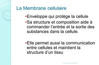 La Membrane cellulaire
•Enveloppe qui protège la cellule
•Sa structure et composition aide à
commander l’entrée et la sortie des
substances dans la cellule.
•Elle permet aussi la communication
entre cellules et maintient la
structure d’un tissu
Franck Rencurel 2020
 
