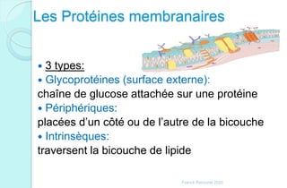 Les Protéines membranaires
 3 types:
 Glycoprotéines (surface externe):
chaîne de glucose attachée sur une protéine
 Périphériques:
placées d’un côté ou de l’autre de la bicouche
 Intrinsèques:
traversent la bicouche de lipide
Franck Rencurel 2020
 