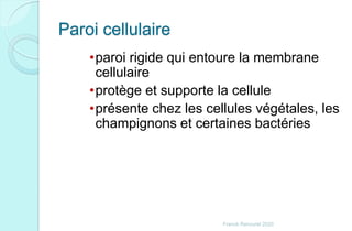 Paroi cellulaire
•paroi rigide qui entoure la membrane
cellulaire
•protège et supporte la cellule
•présente chez les cellules végétales, les
champignons et certaines bactéries
Franck Rencurel 2020
 