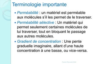 Terminologie importante
 Perméabilité : un matériel est perméable
aux molécules s’il les permet de le traverser.
 Perméabilité sélective : Un matériel qui
permet seulement certaines molécules de
lui traverser, tout en bloquant le passage
aux autres molécules.
 Gradient de concentration : Une pente
graduelle imaginaire, allant d’une haute
concentration à une basse, ou vice-versa.
Franck Rencurel 2020
 
