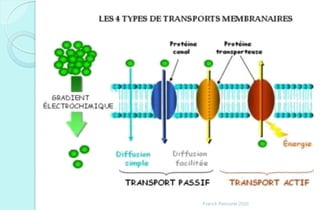 Franck Rencurel 2020
 