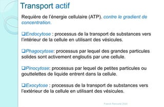 Transport actif
Requière de l’énergie cellulaire (ATP). contre le gradient de
concentration.
Endocytose : processus de la transport de substances vers
l’intérieur de la cellule en utilisant des vésicules.
Phagocytose: processus par lequel des grandes particules
solides sont activement engloutis par une cellule.
Pinocytose: processus par lequel de petites particules ou
gouttelettes de liquide entrent dans la cellule.
Exocytose : processus de la transport de substances vers
l’extérieur de la cellule en utilisant des vésicules.
Franck Rencurel 2020
 
