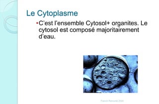 Le Cytoplasme
•C’est l’ensemble Cytosol+ organites. Le
cytosol est composé majoritairement
d’eau.
Franck Rencurel 2020
 