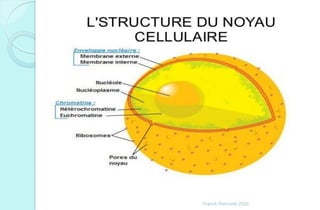 Franck Rencurel 2020
 