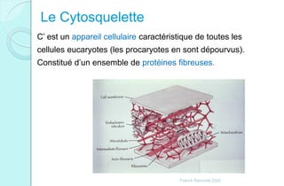 Le Cytosquelette
C’ est un appareil cellulaire caractéristique de toutes les
cellules eucaryotes (les procaryotes en sont dépourvus).
Constitué d’un ensemble de protéines fibreuses.
Franck Rencurel 2020
 