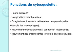 Fonctions du cytosquelette :
• Forme cellulaire ;
• Invaginations membranaires ;
• Evaginations (lorsque la cellule émet des pseudopodes:
exemple des macrophages) ;
• Mouvement endocellulaire (ex: contraction musculaire) ;
• Mouvement des chromosomes lors de la division cellulaire.
Franck Rencurel 2020
 