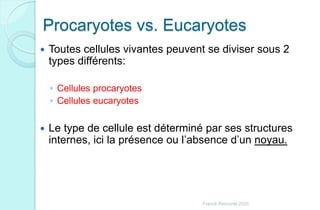 Procaryotes vs. Eucaryotes
 Toutes cellules vivantes peuvent se diviser sous 2
types différents:
◦ Cellules procaryotes
◦ Cellules eucaryotes
 Le type de cellule est déterminé par ses structures
internes, ici la présence ou l’absence d’un noyau.
Franck Rencurel 2020
 