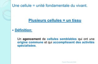 Une cellule = unité fondamentale du vivant.
Plusieurs cellules = un tissu
 Définition:
Un agencement de cellules semblables qui ont une
origine commune et qui accomplissent des activités
spécialisées.
Franck Rencurel 2020
 
