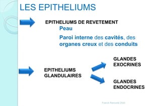 LES EPITHELIUMS
EPITHELIUMS DE REVETEMENT
Peau
Paroi interne des cavités, des
organes creux et des conduits
EPITHELIUMS
GLANDULAIRES
GLANDES
EXOCRINES
GLANDES
ENDOCRINES
Franck Rencurel 2020
 