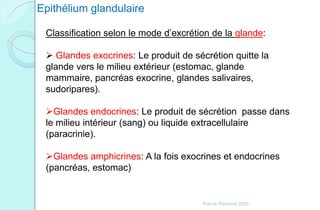 Franck Rencurel 2020
Epithélium glandulaire
Classification selon le mode d’excrétion de la glande:
 Glandes exocrines: Le produit de sécrétion quitte la
glande vers le milieu extérieur (estomac, glande
mammaire, pancréas exocrine, glandes salivaires,
sudoripares).
Glandes endocrines: Le produit de sécrétion passe dans
le milieu intérieur (sang) ou liquide extracellulaire
(paracrinie).
Glandes amphicrines: A la fois exocrines et endocrines
(pancréas, estomac)
 