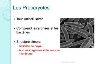 Les Procaryotes
 Tous unicellulaires
 Comprend les archées et les
bactéries
 Structure simple:
◦ Absence de noyau
◦ Aucunes organites entourées de
membrane
Franck Rencurel 2020
 