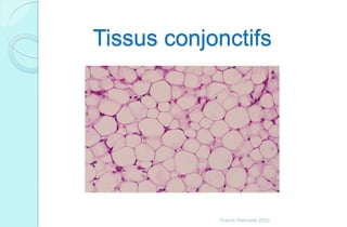 Tissus conjonctifs
Franck Rencurel 2020
 