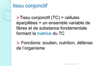 tissu conjonctif
Tissu conjonctif (TC) = cellules
éparpillées + un ensemble variable de
fibres et de substance fondamentale
formant la matrice du TC
 Fonctions: soutien, nutrition, défense
de l’organisme
Franck Rencurel 2020
 