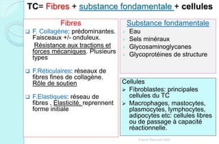TC= Fibres + substance fondamentale + cellules
Fibres
 F. Collagène: prédominantes.
Faisceaux +/- onduleux.
Résistance aux tractions et
forces mécaniques. Plusieurs
types
 F.Réticulaires: réseaux de
fibres fines de collagène.
Rôle de soutien
 F.Elastiques: réseau de
fibres , Elasticité, reprennent
forme initiale
Substance fondamentale
 Eau
 Sels minéraux
 Glycosaminoglycanes
 Glycoprotéines de structure
Cellules
 Fibroblastes: principales
cellules du TC
 Macrophages, mastocytes,
plasmocytes, lymphocytes,
adipocytes etc: cellules libres
ou de passage à capacité
réactionnelle.
Franck Rencurel 2020
 