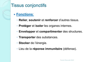 Tissus conjonctifs
 Fonctions:
◦ Relier, soutenir et renforcer d’autres tissus.
◦ Protéger et isoler les organes internes.
◦ Envelopper et compartimenter des structures.
◦ Transporter des substances.
◦ Stocker de l’énergie.
◦ Lieu de la réponse immunitaire (défense).
Franck Rencurel 2020
 