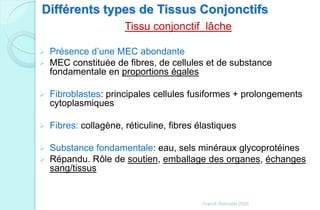 Différents types de Tissus Conjonctifs
Tissu conjonctif lâche
 Présence d’une MEC abondante
 MEC constituée de fibres, de cellules et de substance
fondamentale en proportions égales
 Fibroblastes: principales cellules fusiformes + prolongements
cytoplasmiques
 Fibres: collagène, réticuline, fibres élastiques
 Substance fondamentale: eau, sels minéraux glycoprotéines
 Répandu. Rôle de soutien, emballage des organes, échanges
sang/tissus
Franck Rencurel 2020
 