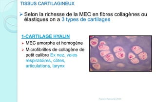 1-CARTILAGE HYALIN
 MEC amorphe et homogène
 Microfibrilles de collagène de
petit calibre Ex nez, voies
respiratoires, côtes,
articulations, larynx
 Selon la richesse de la MEC en fibres collagènes ou
élastiques on a 3 types de cartilages
TISSUS CARTILAGINEUX
Franck Rencurel 2020
 