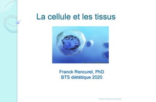 La cellule et les tissus
Franck Rencurel 2020
Franck Rencurel, PhD
BTS diététique 2020
 