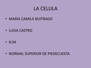 LA CELULA MARIA CAMILA BUITRAGO LUISA CASTRO 8.04 NORMAL SUPERIOR DE PIEDECUESTA 