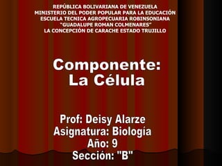 REPÚBLICA BOLIVARIANA DE VENEZUELA  MINISTERIO DEL PODER POPULAR PARA LA EDUCACIÓN  ESCUELA TECNICA AGROPECUARIA ROBINSONIANA  “ GUADALUPE ROMAN COLMENARES” LA CONCEPCIÓN DE CARACHE ESTADO TRUJILLO  Componente:  La Célula  Prof: Deisy Alarze Asignatura: Biología Año: 9 Sección: &quot;B&quot; 