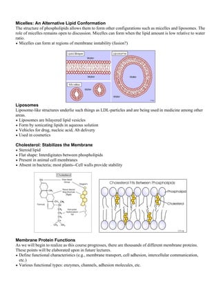 Micelles: An Alternative Lipid Conformation
The structure of phospholipids allows them to form other configurations such as micelles and liposomes. The
role of micelles remains open to discussion. Micelles can form when the lipid amount is low relative to water
ratio.
• Micelles can form at regions of membrane instability (fusion?)




Liposomes
Liposome-like structures underlie such things as LDL-particles and are being used in medicine among other
areas.
• Liposomes are bilayered lipid vesicles
• Form by sonicating lipids in aqueous solution
• Vehicles for drug, nucleic acid, Ab delivery
• Used in cosmetics

Cholesterol: Stabilizes the Membrane
• Steroid lipid
• Flat shape: Interdigitates between phospholipids
• Present in animal cell membranes
• Absent in bacteria; most plants--Cell walls provide stability




Membrane Protein Functions
As we will begin to realize as this course progresses, there are thousands of different membrane proteins.
These points will be elaborated upon in future lectures.
• Define functional characteristics (e.g., membrane transport, cell adhesion, intercellular communication,
  etc.)
• Various functional types: enzymes, channels, adhesion molecules, etc.
 