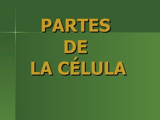 PARTES  DE  LA CÉLULA 