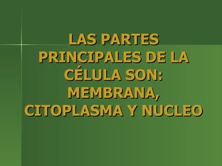 LAS PARTES PRINCIPALES DE LA CÉLULA SON: MEMBRANA, CITOPLASMA Y NUCLEO 